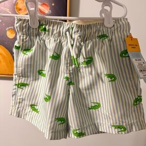 Cat & Jack Swim short